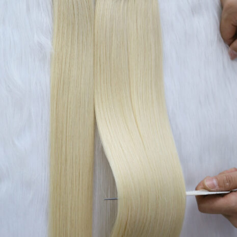 #60 Tape in Extensions (3)