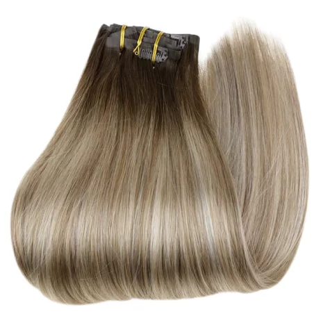 #3_8_22 Seamless Clip In Extensions (4)