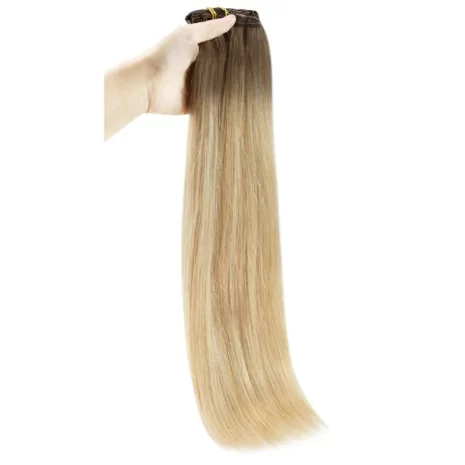 #6_27_60 Clip In Extensions (1)