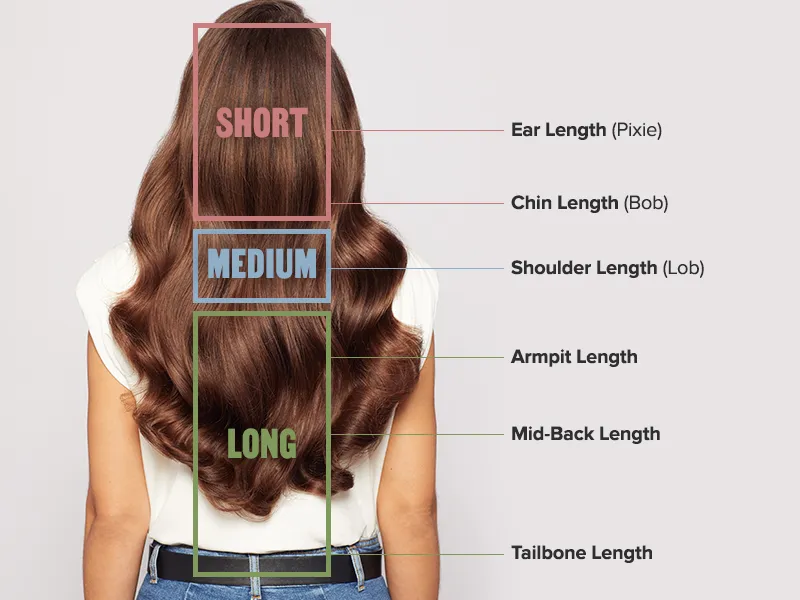 Categories of Hair Length