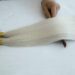 #Silveg-1001 I Tip Extensions (7)