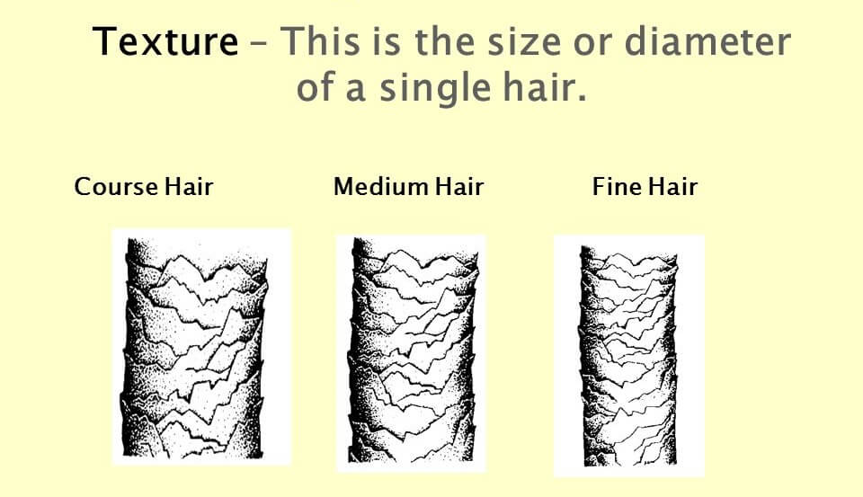 Fine Medium and coarse hair